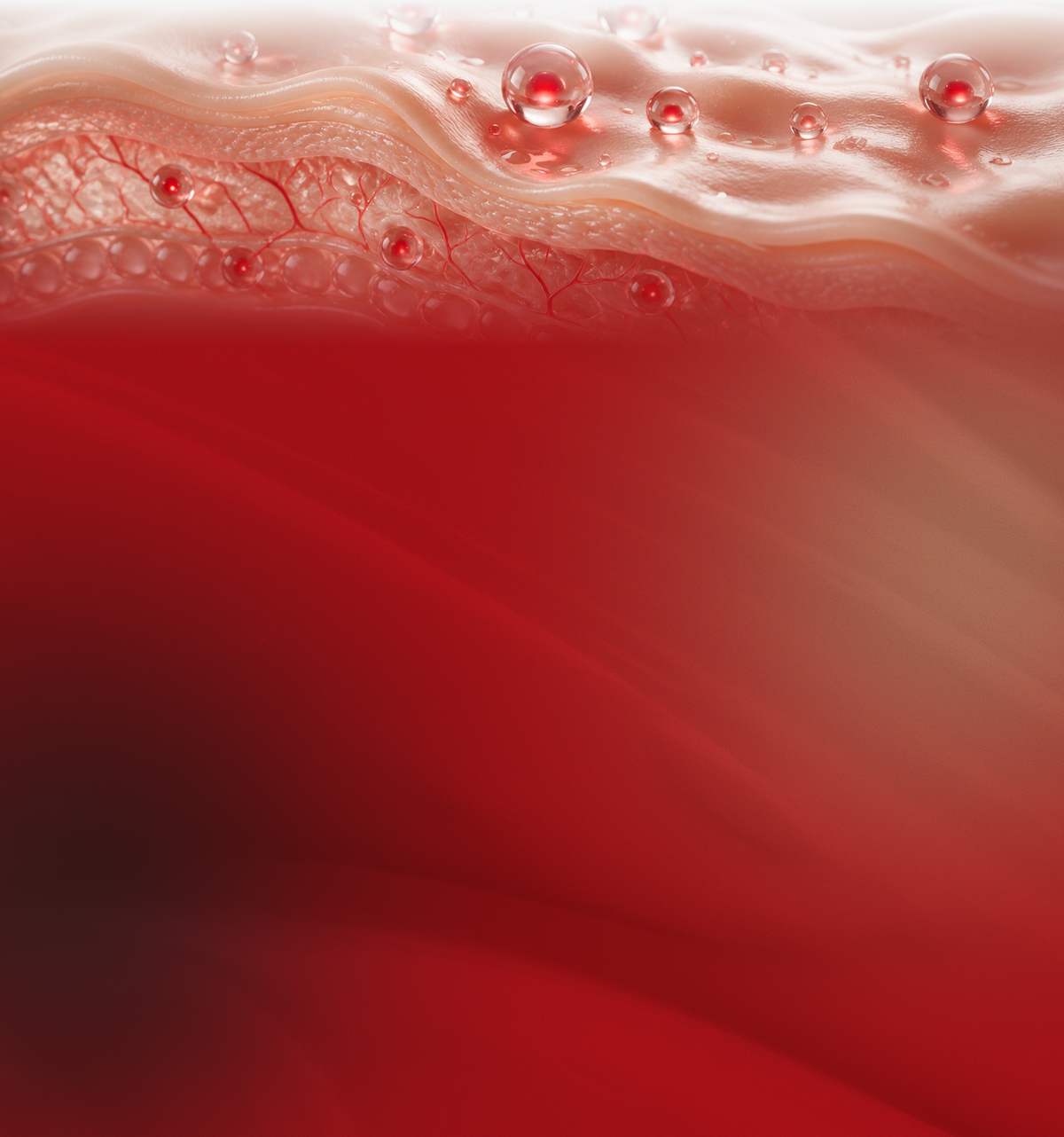 3D illustration of human skin layers showing surface, structural and cellular levels